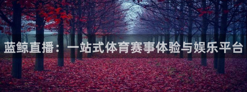 足球直播山猫高清直播：蓝鲸直播：一站式体育赛事体验与娱乐平台