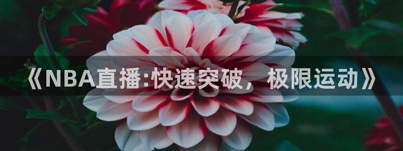 山猫体育网页版：《NBA直播:快速突破，极限运动》