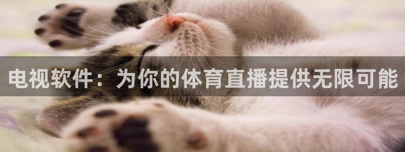 山猫tv篮球直播