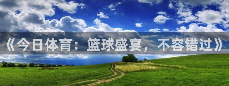 山猫足球直播雨燕直播：《今日体育：篮球盛宴，不容错过》