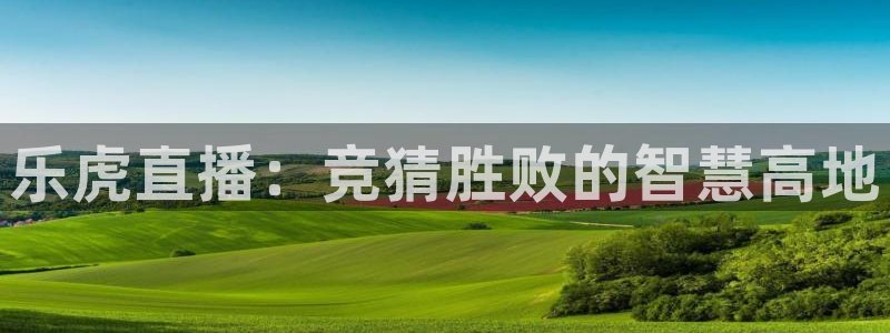 山猫体育免费篮球直播：乐虎直播：竞猜胜败的智慧高地