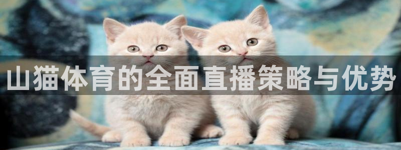 山猫体育直播平台：山猫体育的全面直播策略与优势