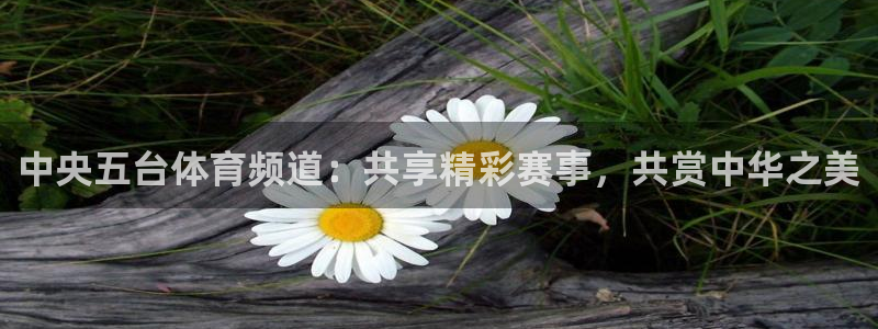 足球山猫运动直播：中央五台体育频道：共享精彩赛事，共赏中华之美