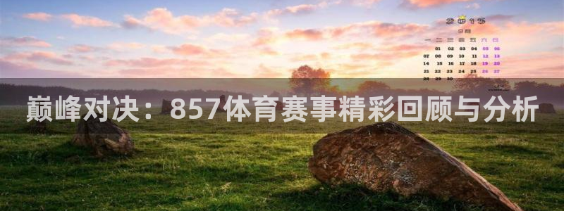 山猫免费直播体育nba：巅峰对决：857体育赛事精彩回顾与分析