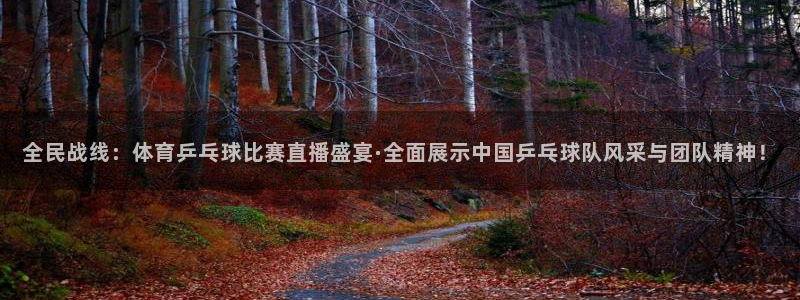 山猫直播体育nba：全民战线：体育乒乓球比赛直播盛宴·全面展示中国乒乓球队风采与团队精神！
