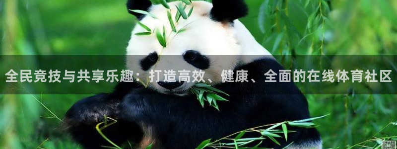 山猫nba免费直播：全民竞技与共享乐趣：打造高效、健康、全面的在线体育社区