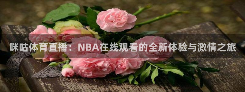 山猫足球体育直播：咪咕体育直播：NBA在线观看的全新体验与激情之旅